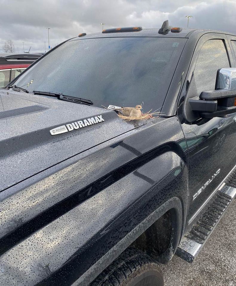 Gewoon een verzameling hilarische foto's #1583