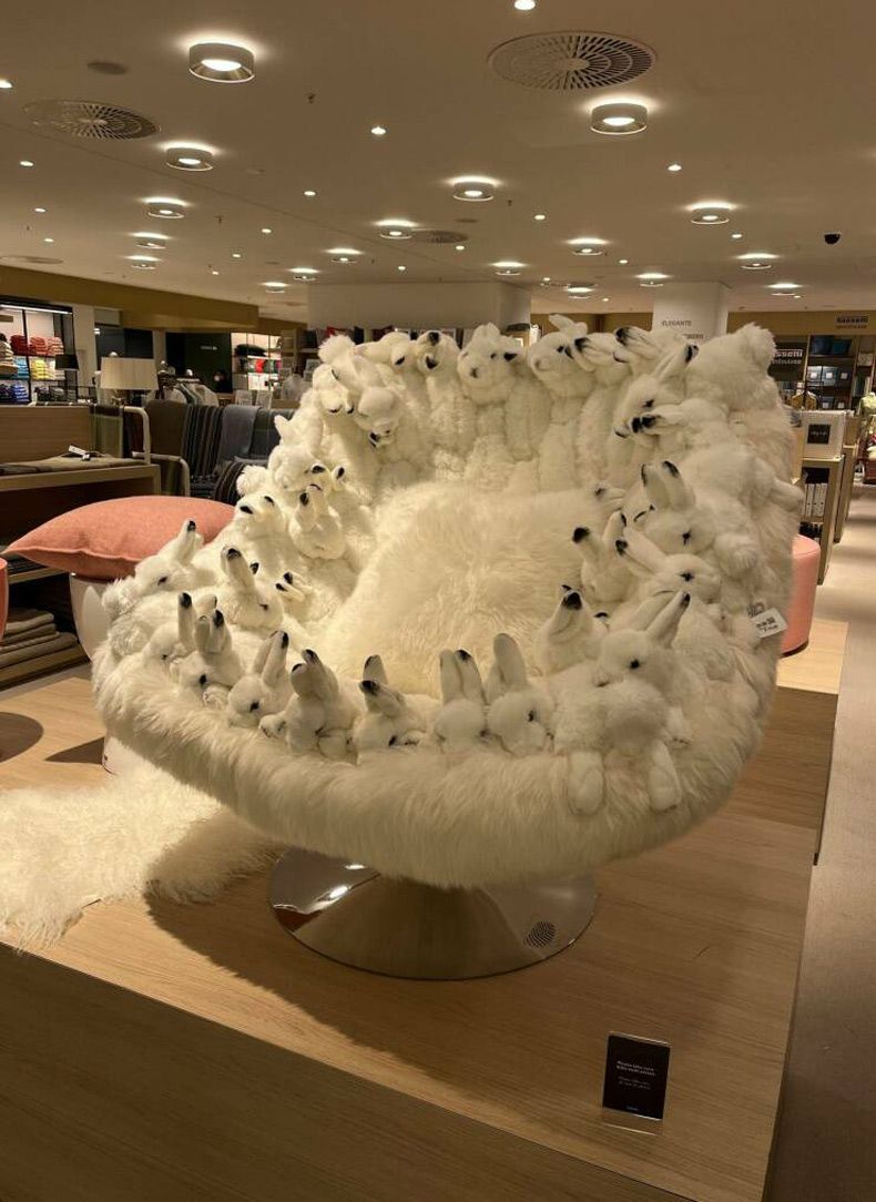 Gewoon een verzameling hilarische foto's #1584