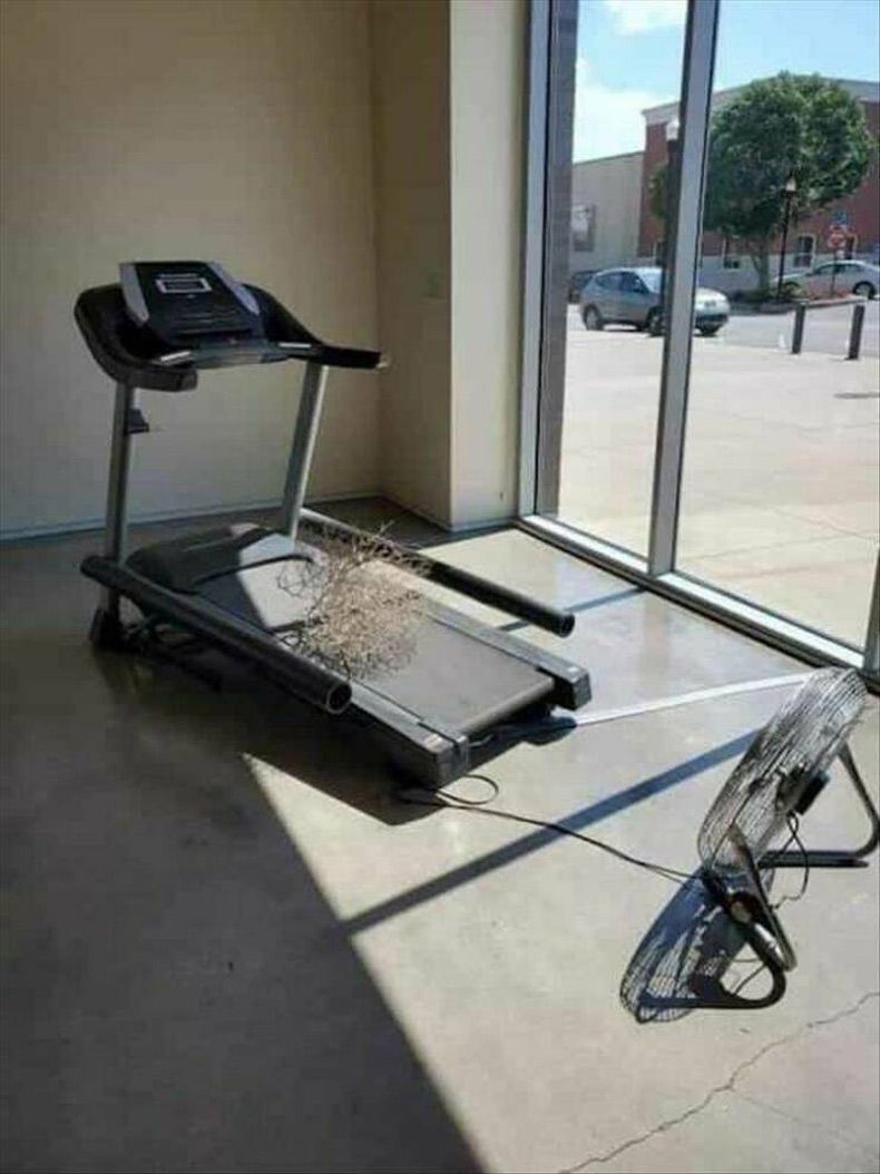 Gewoon een verzameling hilarische foto's #1584