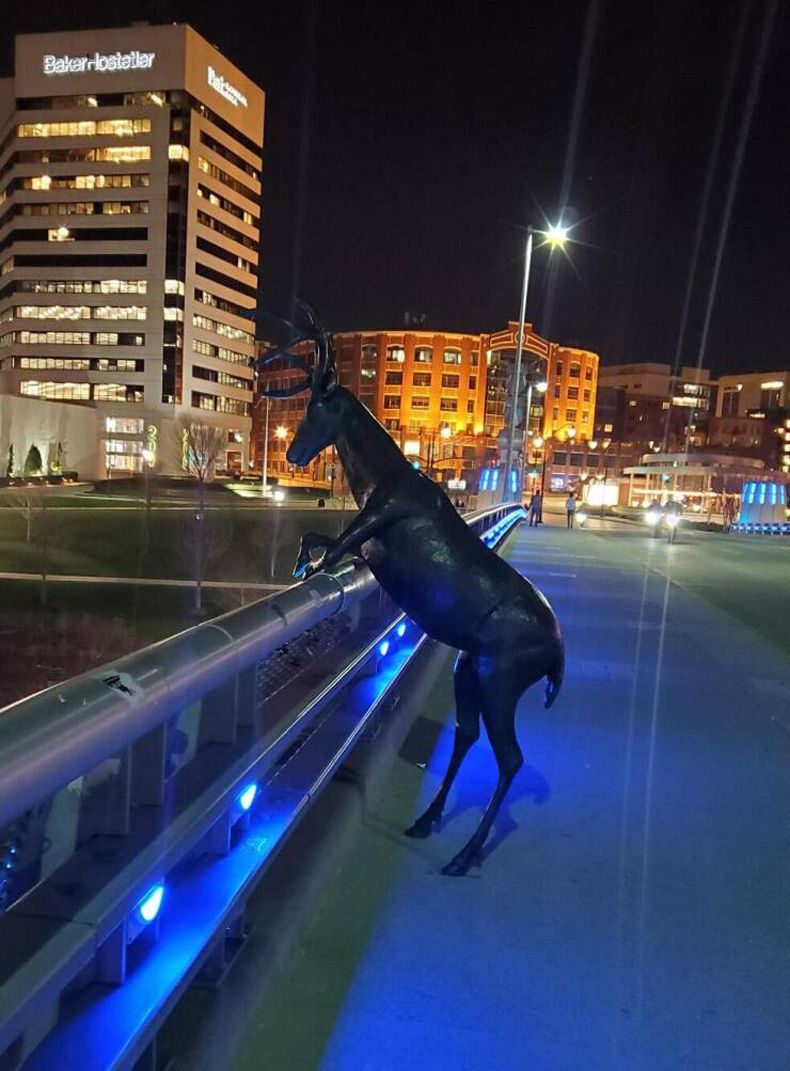 Gewoon een verzameling hilarische foto's #1584