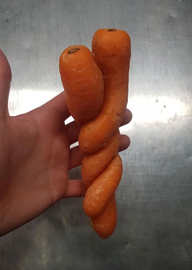 Gewoon een verzameling hilarische foto's #1584