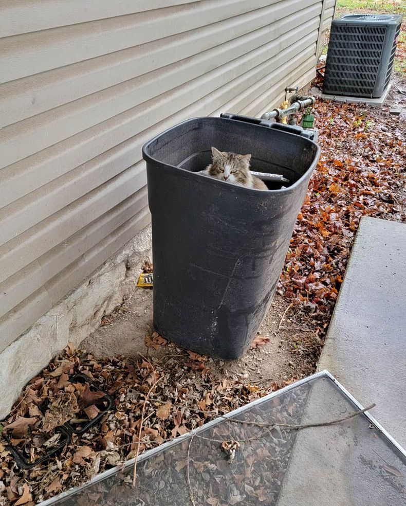 Gewoon een verzameling hilarische foto's #1584