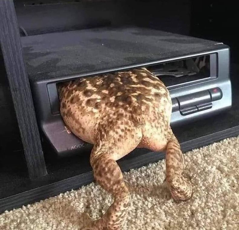 Gewoon een verzameling hilarische foto's #1584