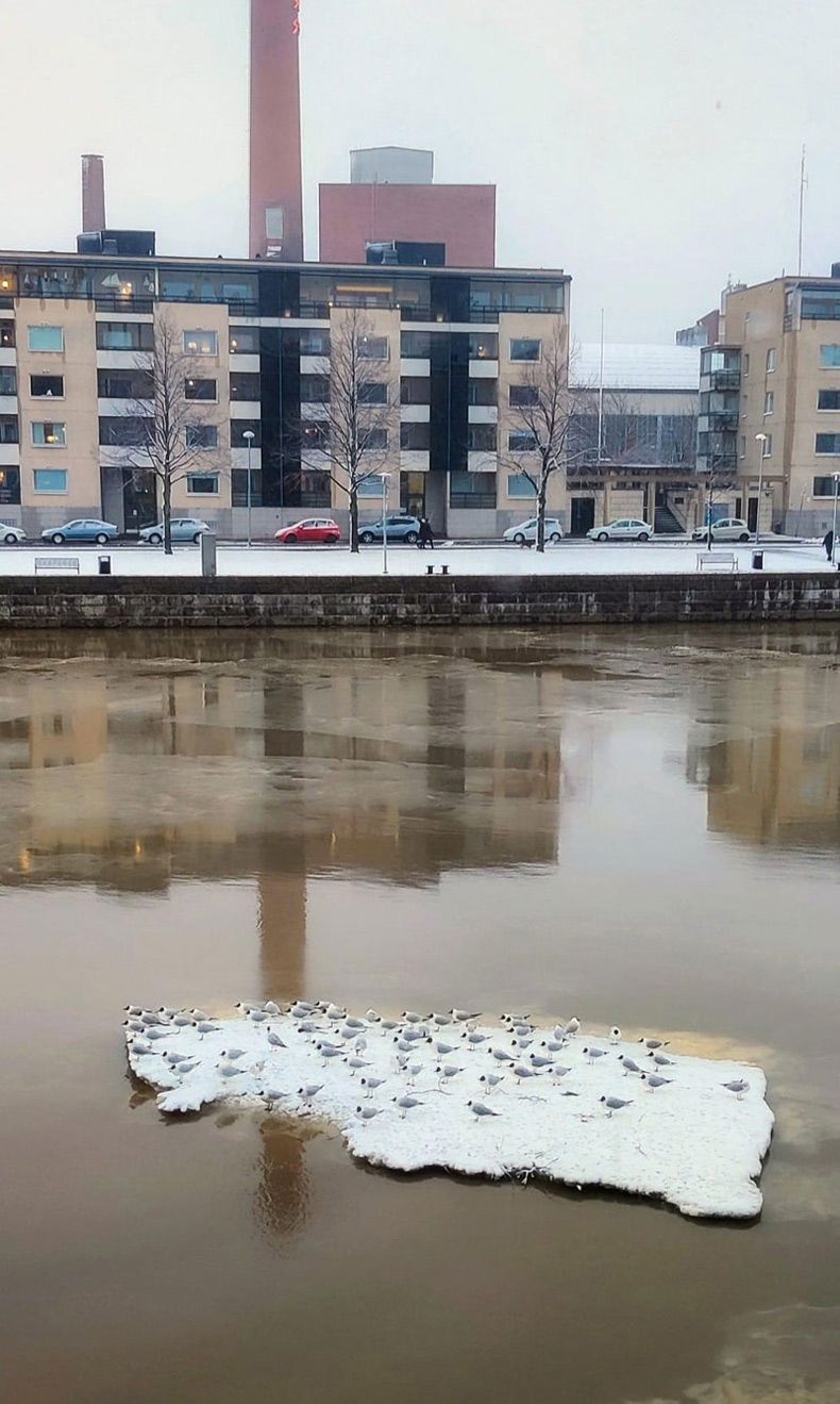 Gewoon een verzameling hilarische foto's #1584