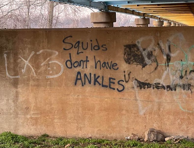 Gewoon een verzameling hilarische foto's #1584