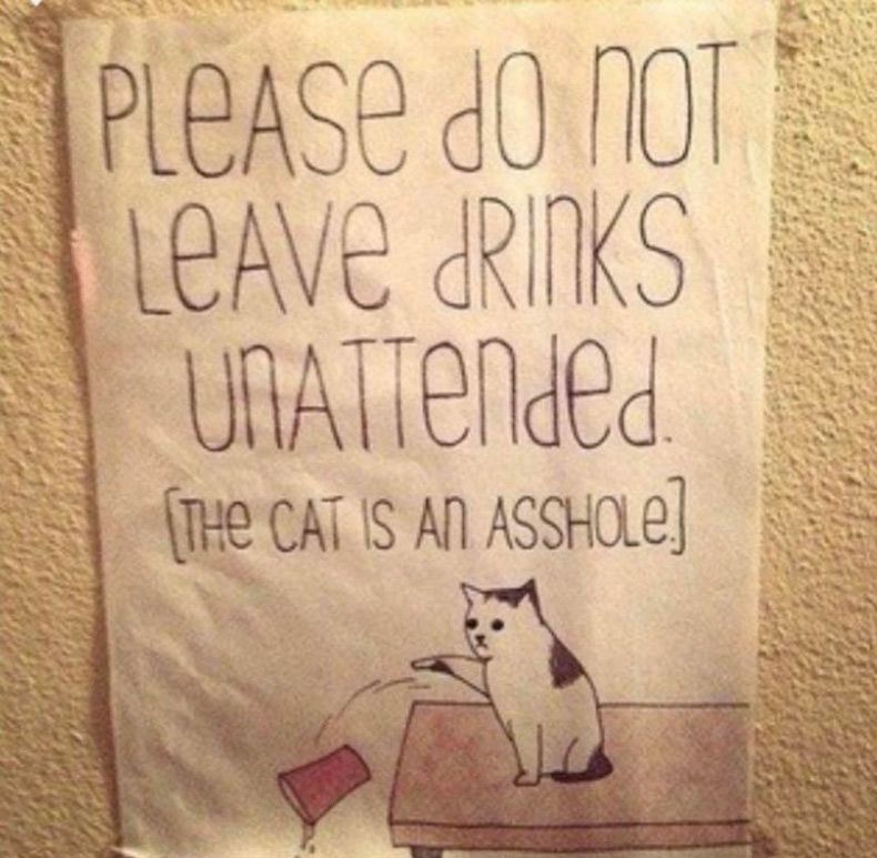 Gewoon een verzameling hilarische foto's #1584