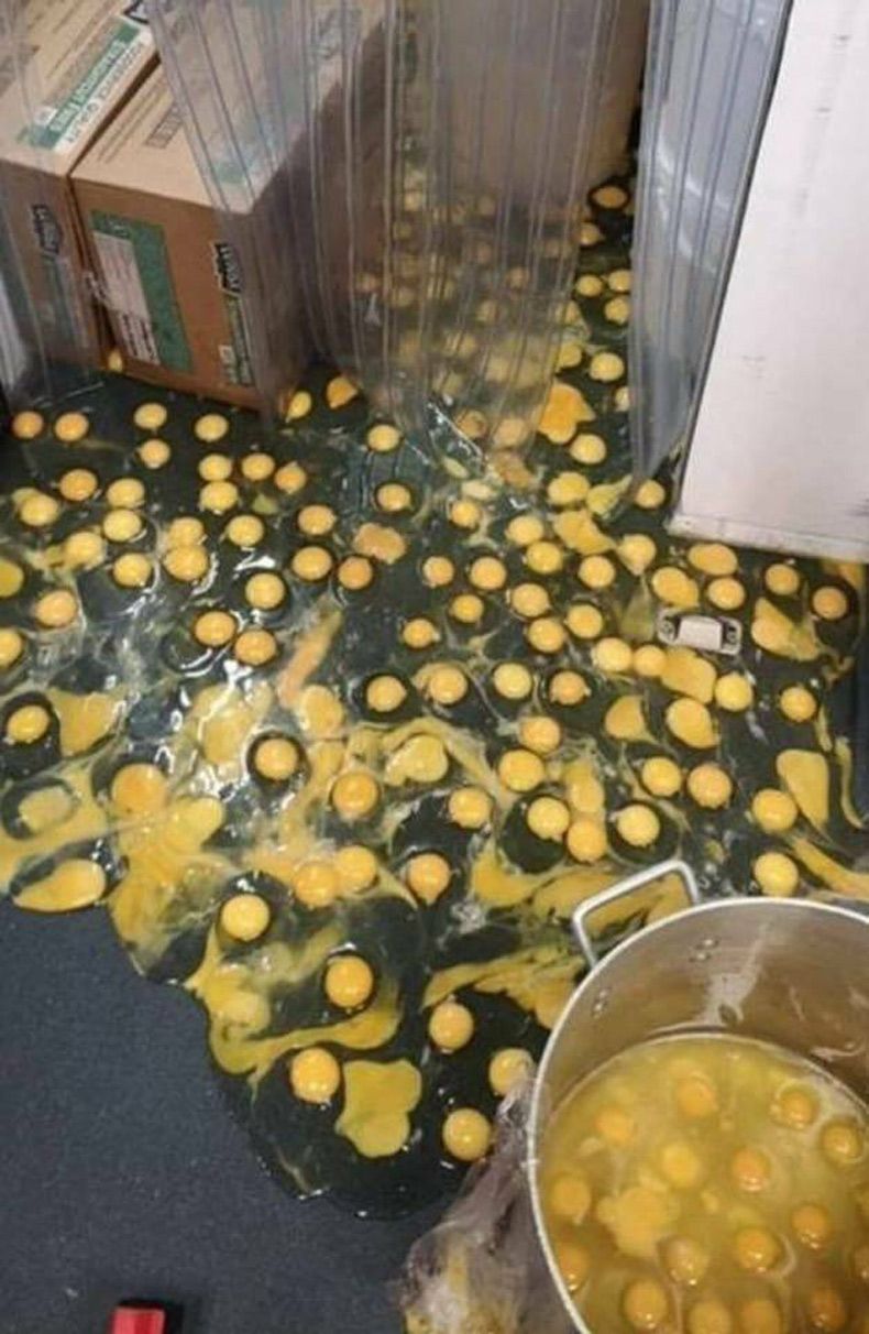 Gewoon een verzameling hilarische foto's #1585