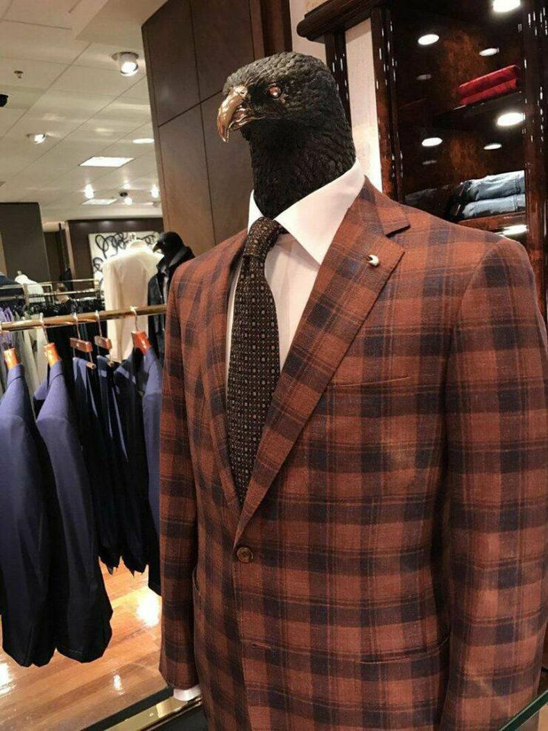 Gewoon een verzameling hilarische foto's #1585