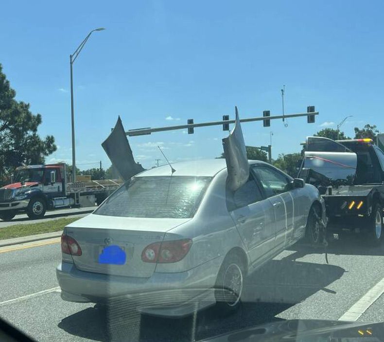 Gewoon een verzameling hilarische foto's #1585