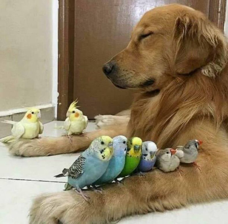 Gewoon een verzameling hilarische foto's #1585