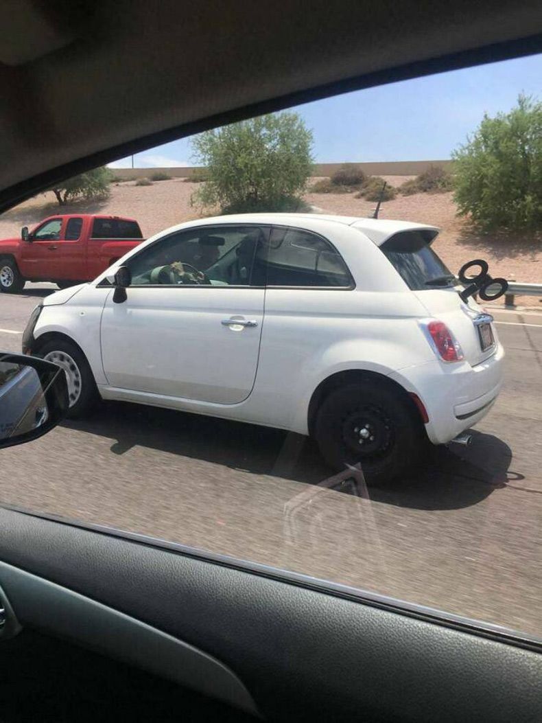 Gewoon een verzameling hilarische foto's #1585