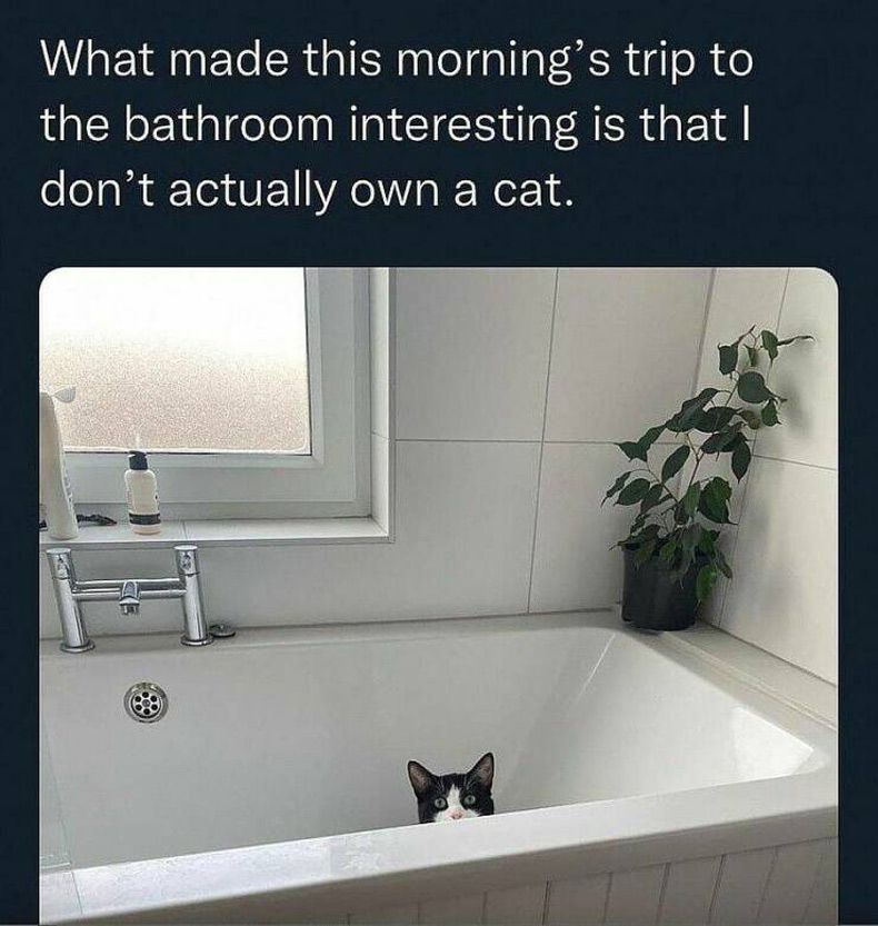 Gewoon een verzameling hilarische foto's #1585