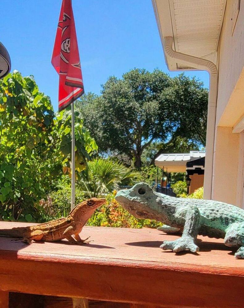 Gewoon een verzameling hilarische foto's #1585