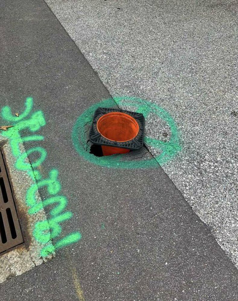 Gewoon een verzameling hilarische foto's #1585