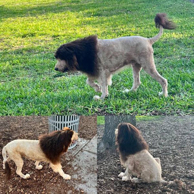 Gewoon een verzameling hilarische foto's #1585