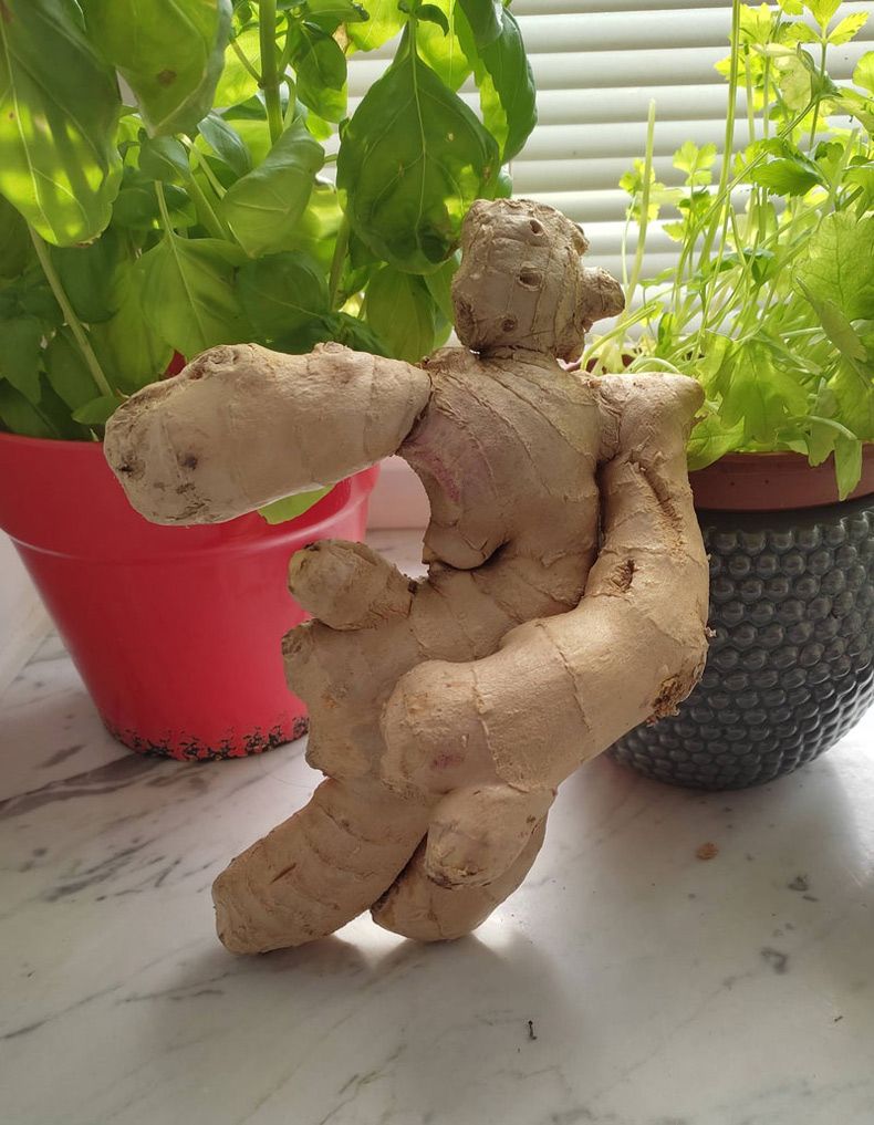 Gewoon een verzameling hilarische foto's #1585