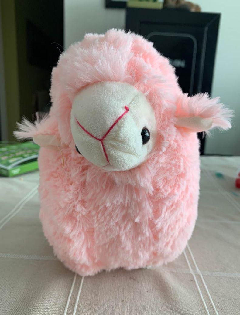 Gewoon een verzameling hilarische foto's #1585