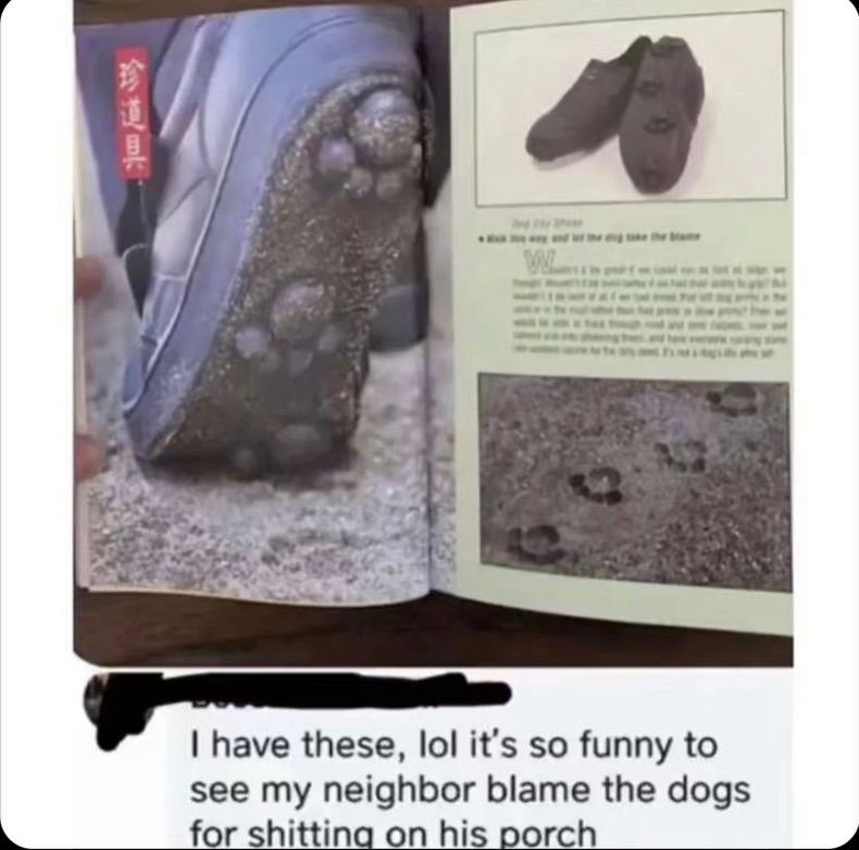 Gewoon een verzameling hilarische foto's #1585