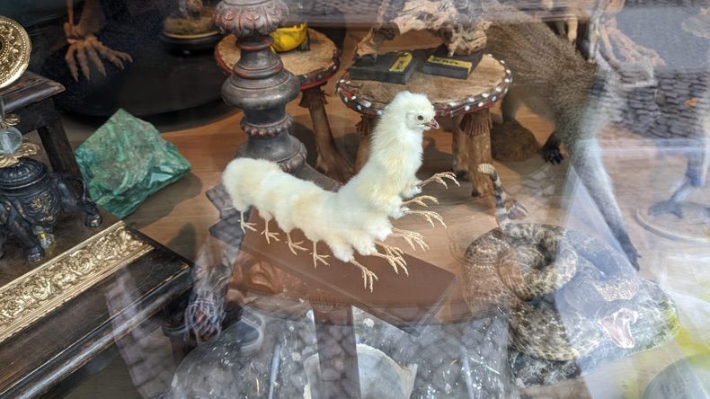 Gewoon een verzameling hilarische foto's #1585