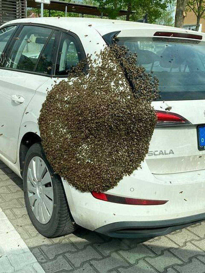 Gewoon een verzameling hilarische foto's #1591