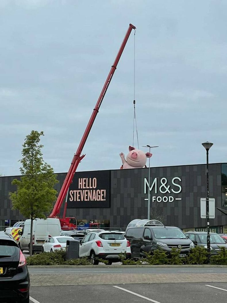Gewoon een verzameling hilarische foto's #1591