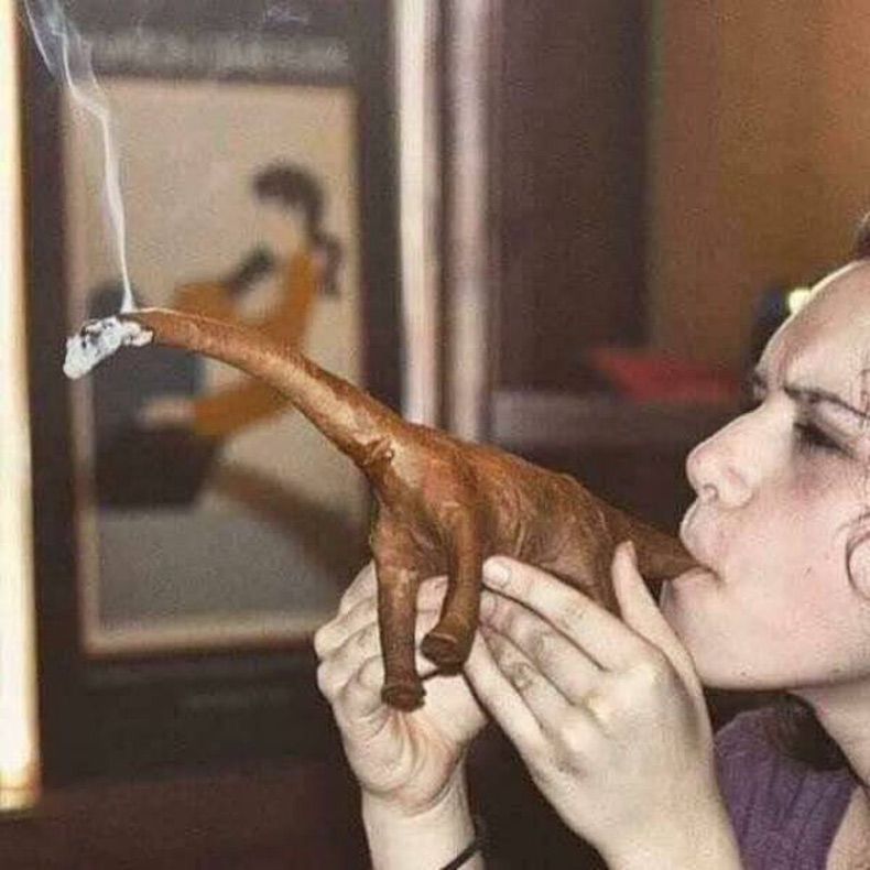 Gewoon een verzameling hilarische foto's #1591