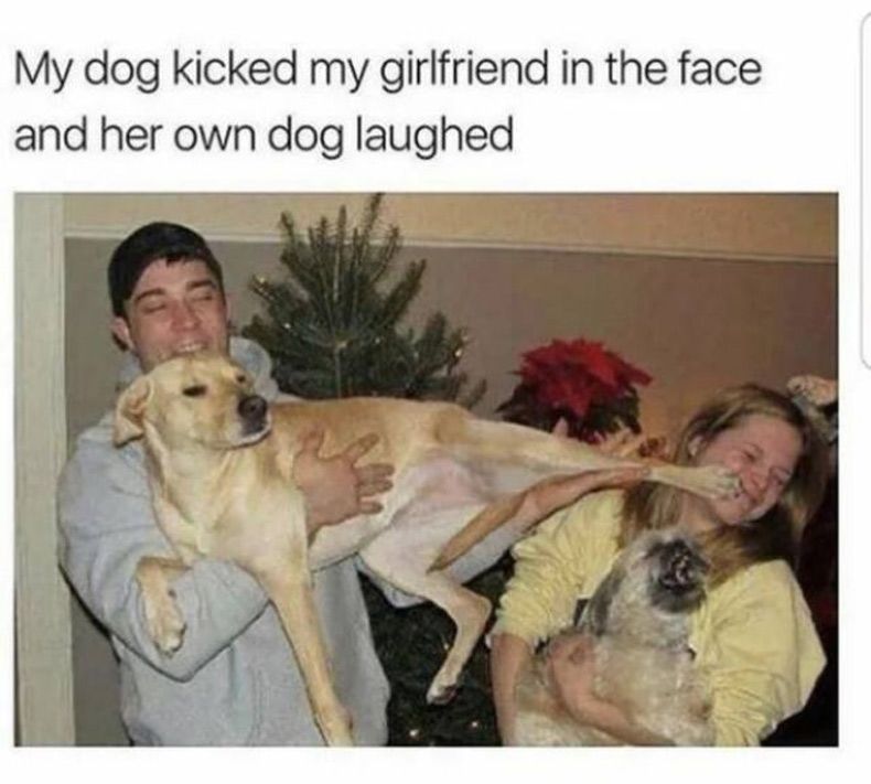 Gewoon een verzameling hilarische foto's #1591