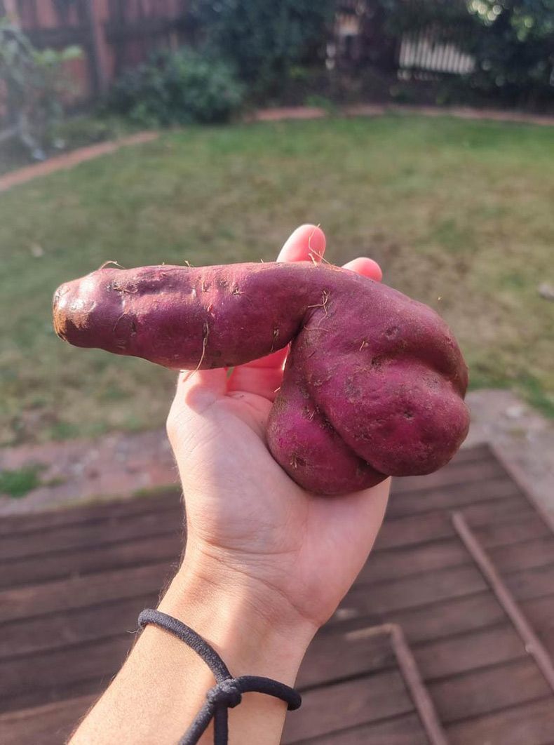 Gewoon een verzameling hilarische foto's #1591