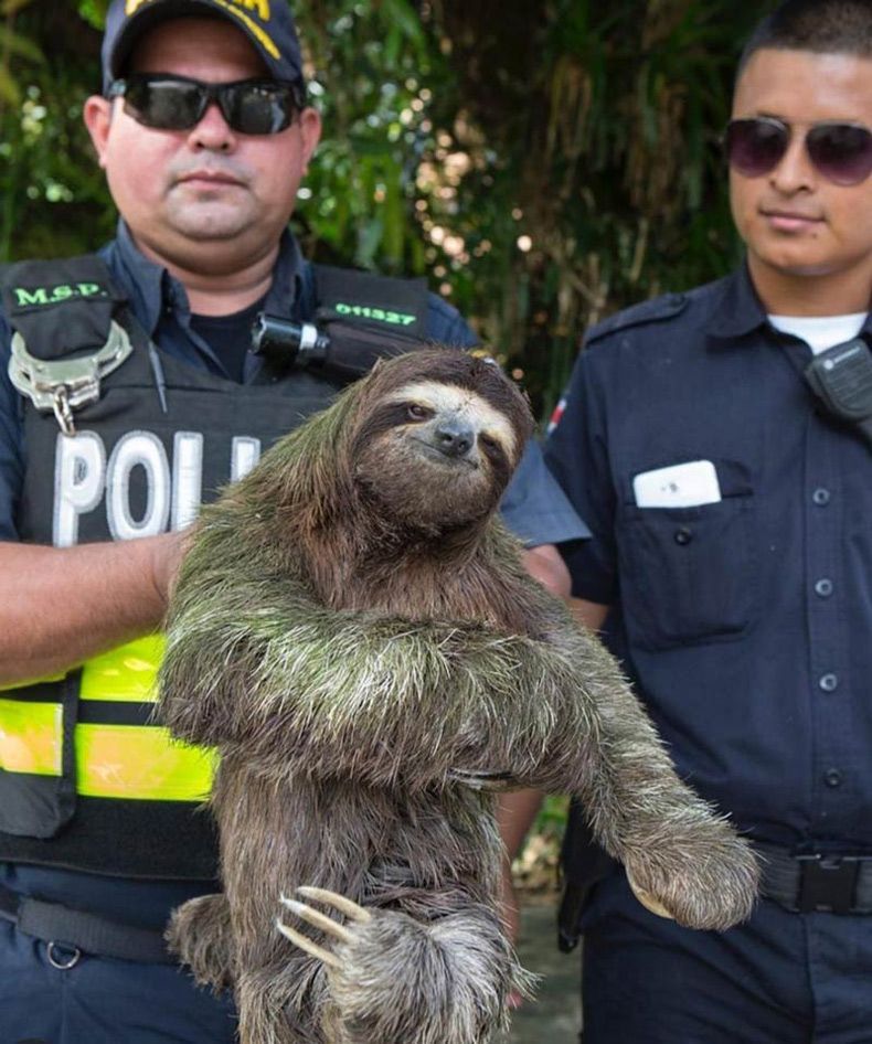 Gewoon een verzameling hilarische foto's #1591