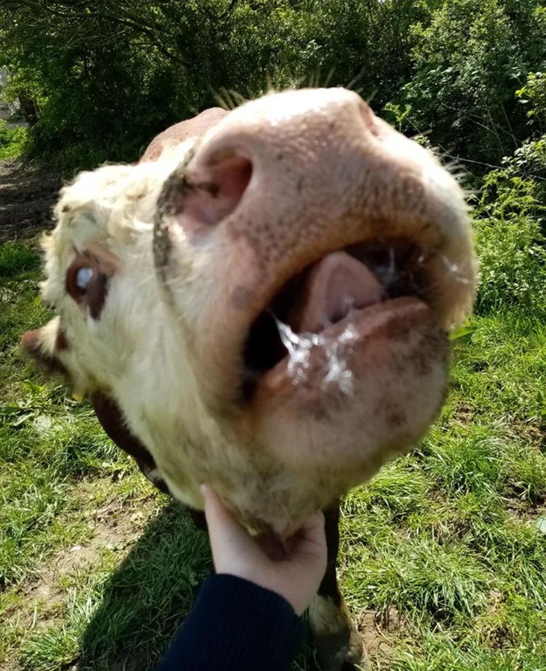 Gewoon een verzameling hilarische foto's #1593