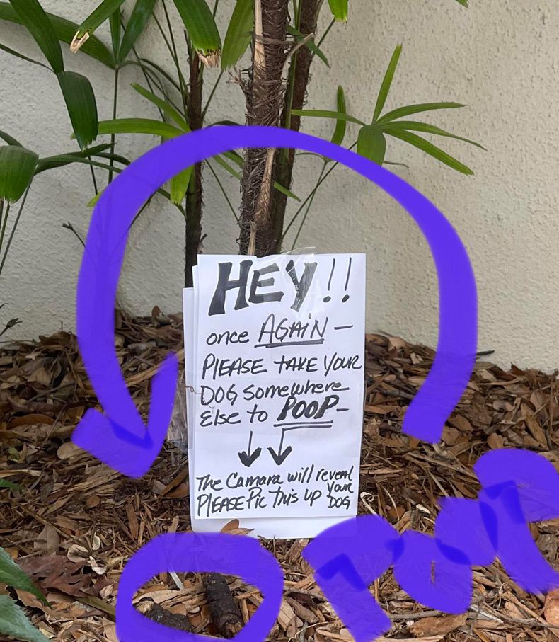 Gewoon een verzameling hilarische foto's #1593