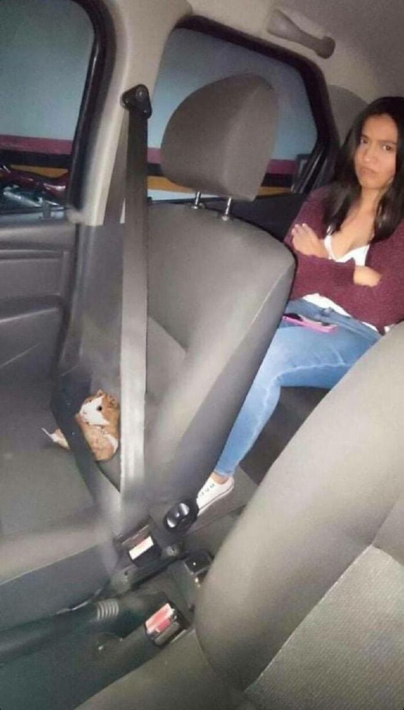 Gewoon een verzameling hilarische foto's #1593