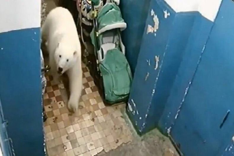 Gewoon een verzameling hilarische foto's #1593