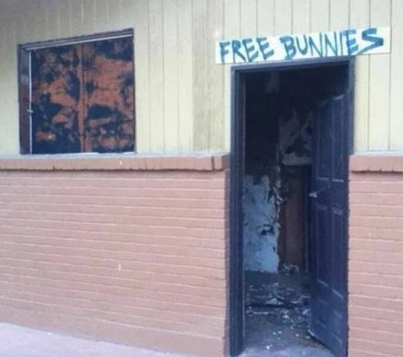 Gewoon een verzameling hilarische foto's #1593