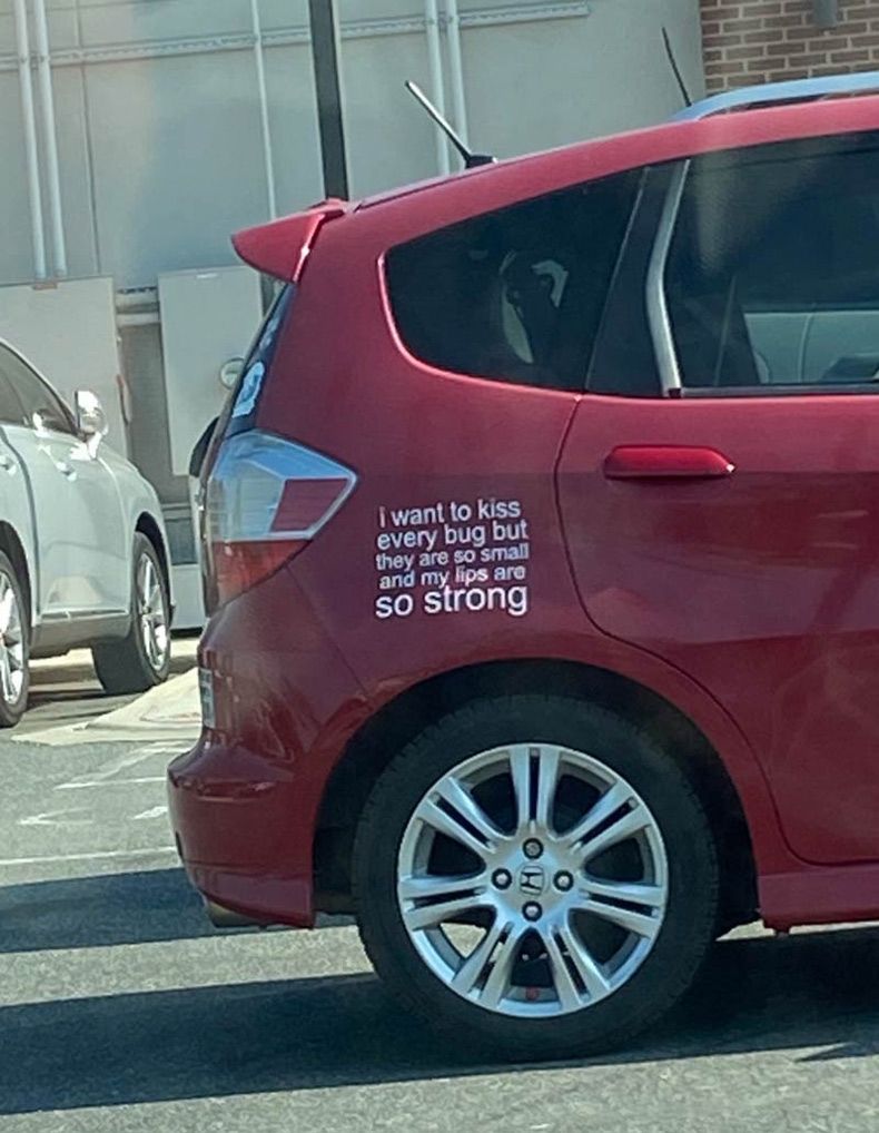 Gewoon een verzameling hilarische foto's #1593