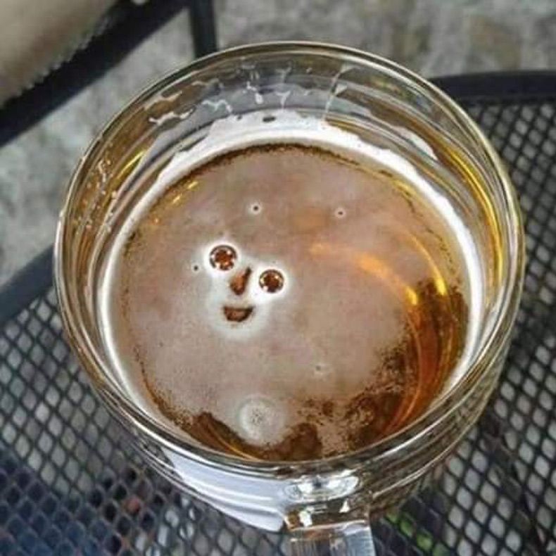 Gewoon een verzameling hilarische foto's #1593