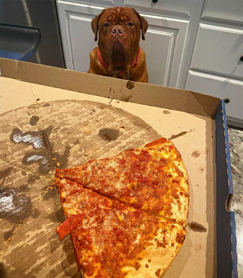 Gewoon een verzameling hilarische foto's #1593