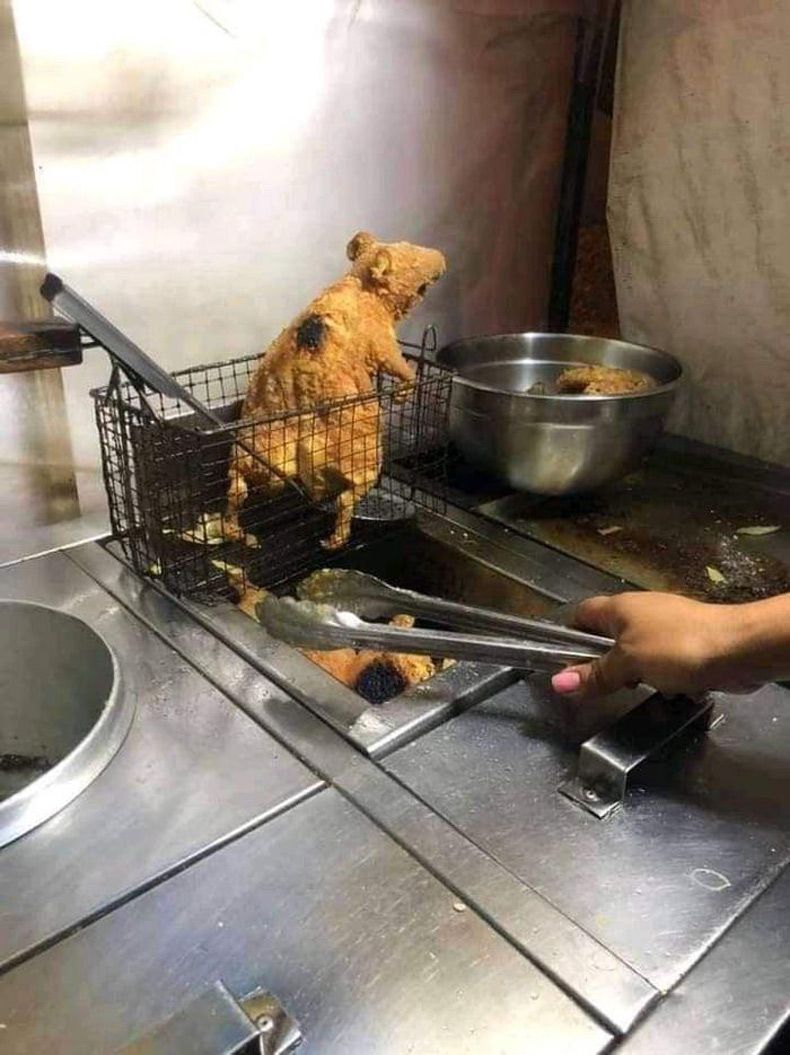 Gewoon een verzameling hilarische foto's #1594