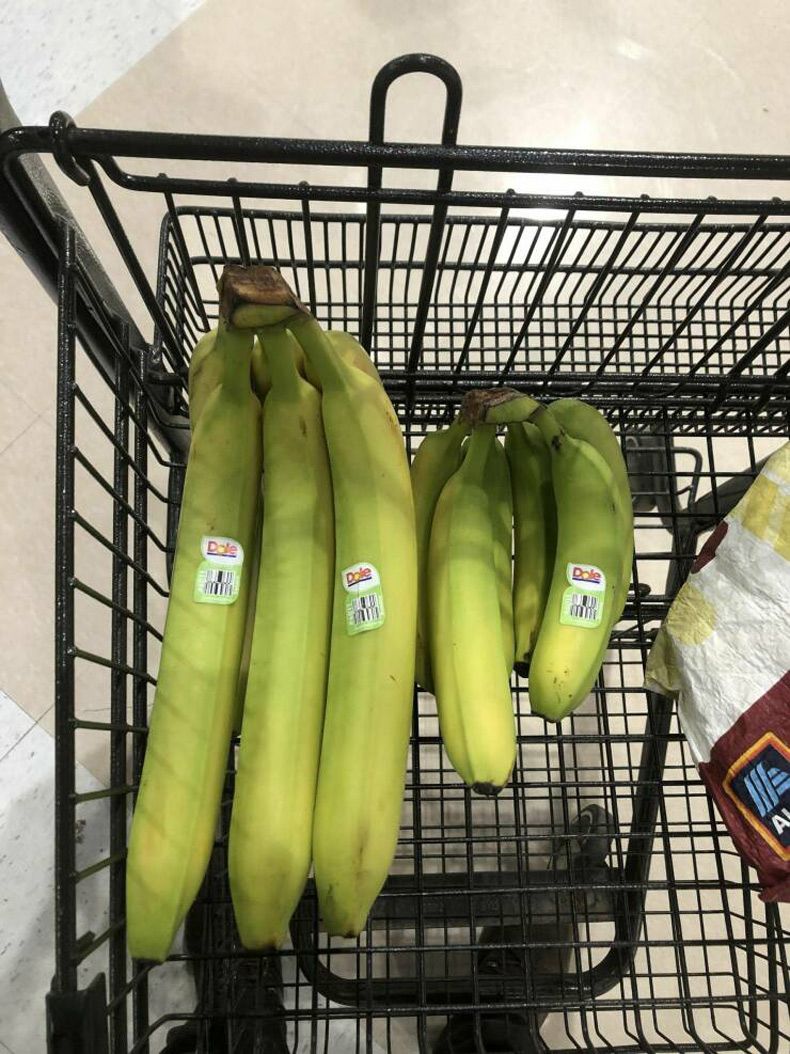 Gewoon een verzameling hilarische foto's #1594