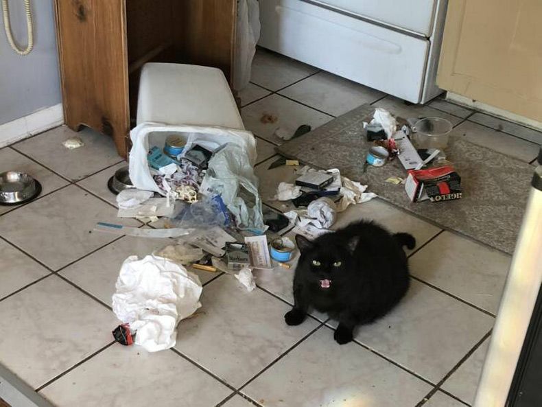 Gewoon een verzameling hilarische foto's #1594