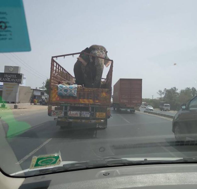 Gewoon een verzameling hilarische foto's #1594