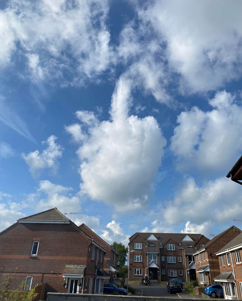 Gewoon een verzameling hilarische foto's #1594