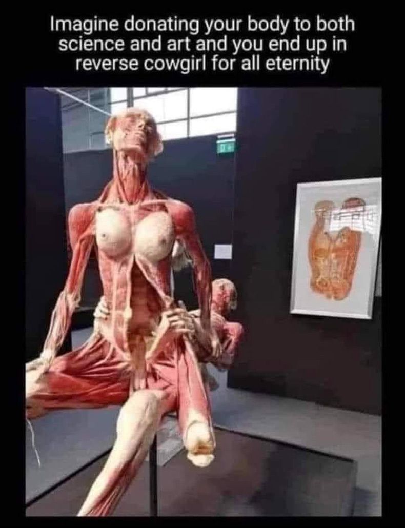 Gewoon een verzameling hilarische foto's #1594