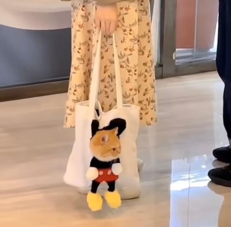 Gewoon een verzameling hilarische foto's #1594