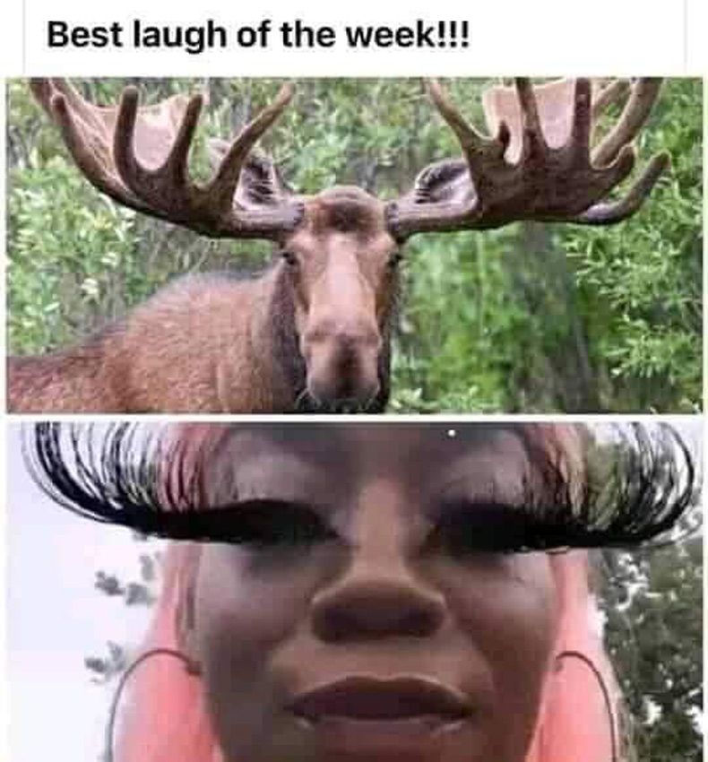 Gewoon een verzameling hilarische foto's #1594