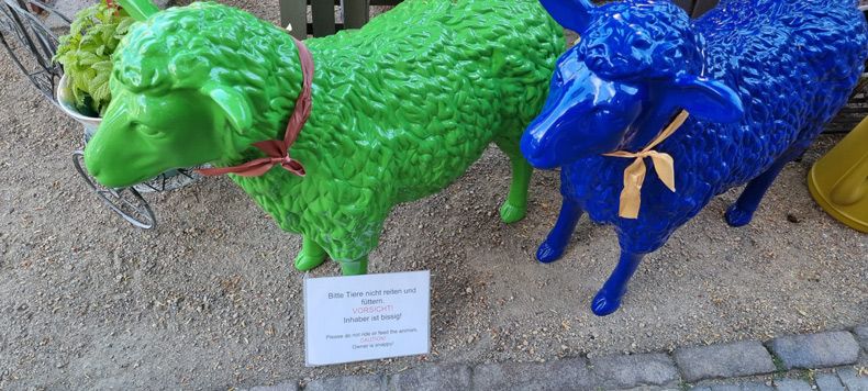 Gewoon een verzameling hilarische foto's #1594