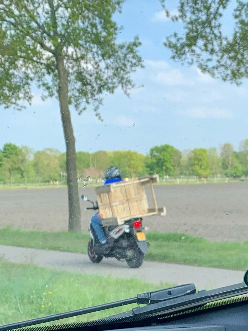 Gewoon een verzameling hilarische foto's #1594