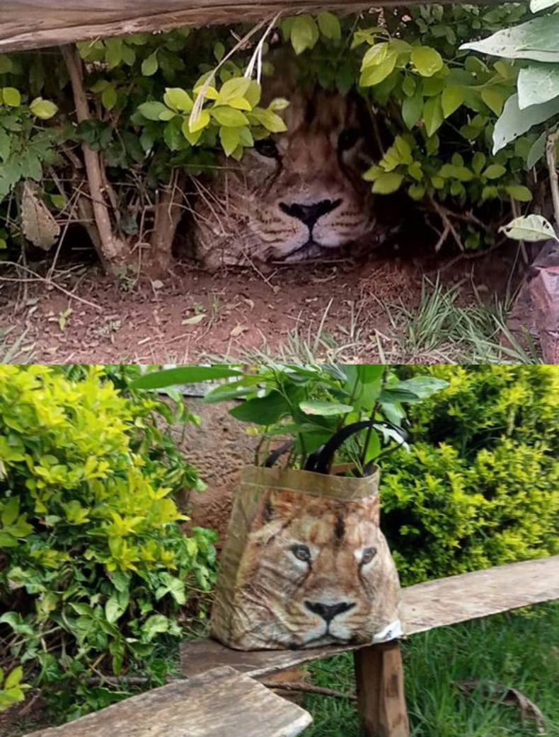 Gewoon een verzameling hilarische foto's #1594