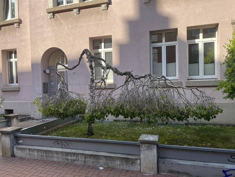 Gewoon een verzameling hilarische foto's #1596