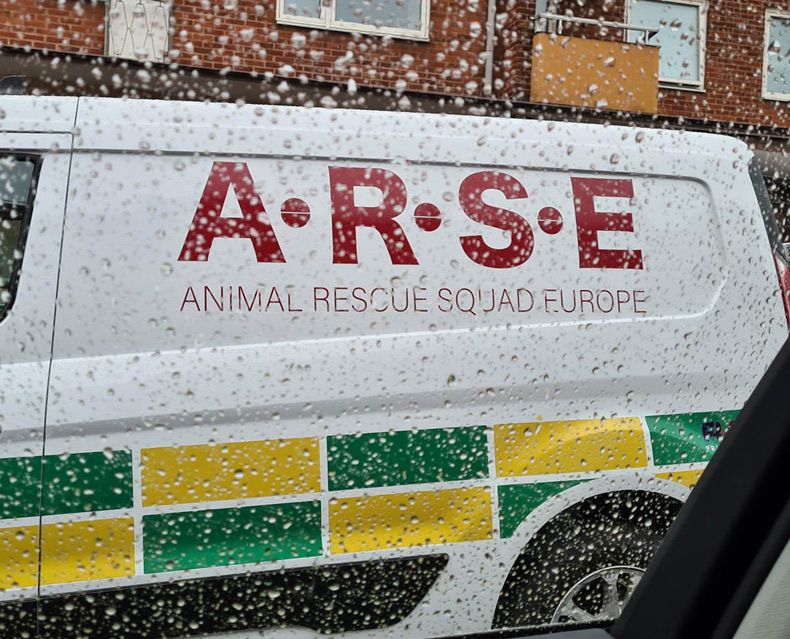 Gewoon een verzameling hilarische foto's #1596